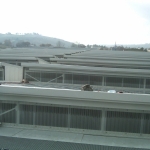 img00031-20101223-1300