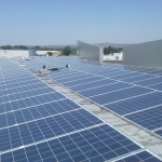 img00082-20110709-1139