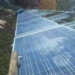 img00137-20111108-1650