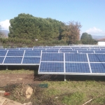 img00141-20111109-1142