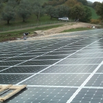 img00010-20101204-1120